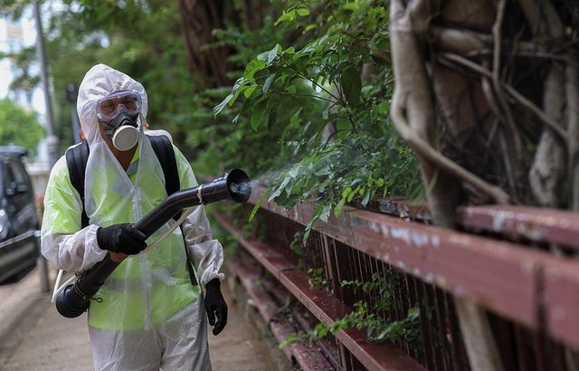 Toàn cảnh dịch Chikungunya lan rộng toàn cầu: Trung Quốc ghi nhận hơn 7.000 ca, Mỹ phát cảnh báo- Ảnh 1.