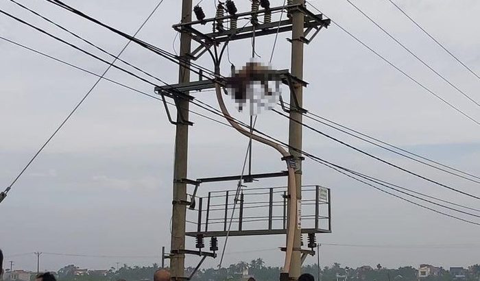 Người dân phát hiện thi thể người đàn ông trung niên trên cột điện cao thế. Ảnh: Dân Việt