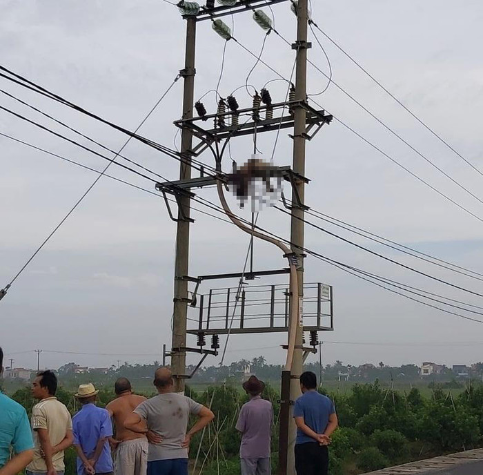 Người dân phát hiện thi thể người đàn ông trung niên trên cột điện cao thế. Ảnh: Dân Việt
