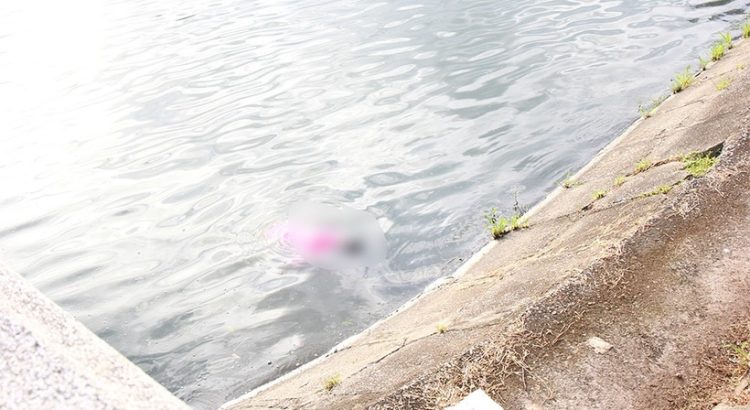 Hiện trường phát hiện nạn nhân. (Ảnh: Báo Bắc Giang)