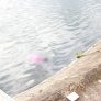 Hiện trường phát hiện nạn nhân. (Ảnh: Báo Bắc Giang)